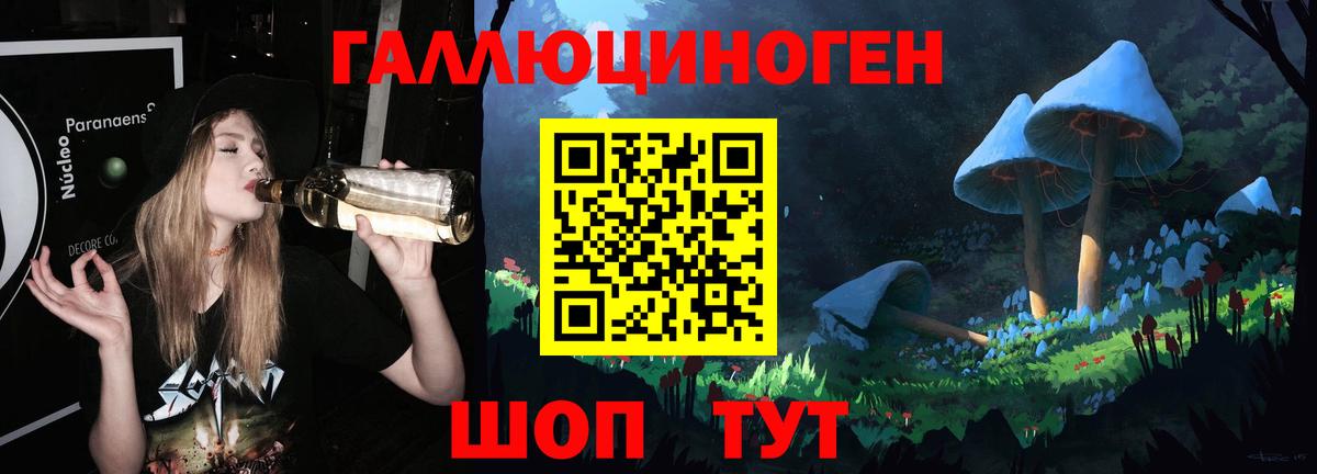 Избербаш  Псилоцибиновые грибы Psilocybe  Вход с VPN 