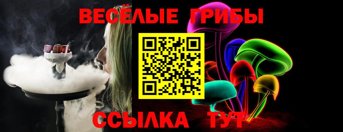 Псилоцибиновые грибы мухоморы Избербаш